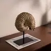 Escultura moderna retro de imitación de fósil de concha, sala de estar, sala modelo, entrada, escritorio, amonita réplica, adorno decorativo suave