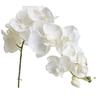 Flor Artificial Phalaenopsis Individual Flor Decorativa para el Hogar Blanco Puro Boda Flor de Boda Flor de Mesa