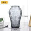 Vaso decorativo de vidro transparente estilo nórdico ins para sala de estar ornamentos criativos vaso de vidro atacado flor seca hidroponia