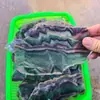 Fabricante transfronteiriço mais vendido atacado pedra de cristal natural fluorita de sete cores fatias tiras fluorita arco-íris fatias pedra bruta ornamentos
