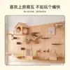 Accesorios DIY para Marco de Escalada para Gatos de Tablero Perforado, Casa para Gatos Montada en Pared de Madera Maciza con Estante Integrado, Escalera de Escalada para Gatos
