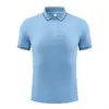 Camisa Polo de Algodón y Seda Trabajo Personalizado Estampado de Logo Cuello Solapa Manga Corta Hecho a Pedido Camisa Publicitaria de Gama Alta Atuendo para Empleados Corporativos