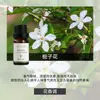 Fabricante de Fuente de Aromaterapia Aceite Esencial de Aromaterapia Soluble en Agua 10 ml Fragancia Vegetal L Difusor Ambientador Máquina de Aromaterapia Aceite Esencial