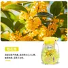 Ambientador de Perlas de Cristal Aromáticas, Fragancia de Larga Duración, Desodorante para Inodoro y Baño, Aromaterapia para Uso en el Hogar en el DormitorioT730