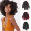 Peruca Europeia e Americana Tranças Sintéticas Peruca de fibra capilar cabeça fofa pequena lagarta Xu Afro