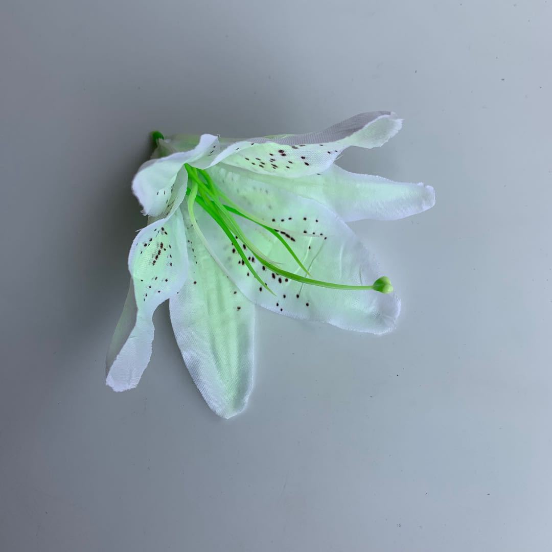 微信图片_2020050810460511