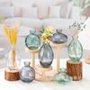 Vaso de Vidro de Luxo Nórdico, Mini Vaso Criativo e Simples para Flores Hidropônicas, Ornamento de Decoração para Mesa com Flores Secas