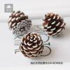 Flor Eterna Colgante para Coche Corona Making Materiales a Juego Todo Tipo de Frutas Secas Piñas de Pino Blanco Cepilladas Decoraciones Navideñas Accesorios para Disparos Péndulo
