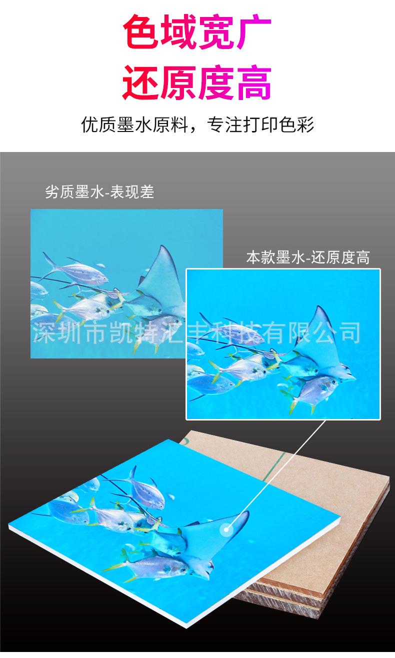 东周东芝C4E_10.jpg