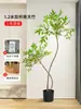 Luz para Plantas Verdes Lujo Sencillo Nandina Interior Sala de Estar Planta Falsa Adornos Decorativos Planta de Maceta Biónica de Pie