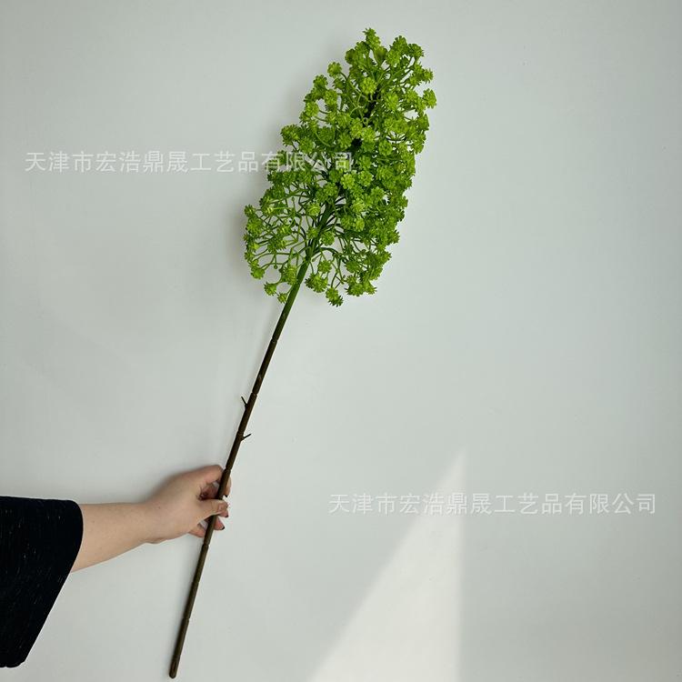 微信图片_202304021450453_副本