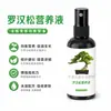 Solución Nutricional Especial para Fertilizante de Armonia, Pino Taishan, Pino de Osaka y Pino Ornamental Bonsái, Fertilizante Líquido Universal para el Cuidado de Árboles