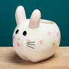 Vaso de cerâmica criativo com animal de desenho animado para planta suculenta, simples, moderno, para jardinagem, combinação fofa de coelho, planta em vaso mini