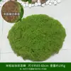 Musgo Artificial Arroz Marrom Seda Grama Artificial Externa Planta Verde para Bonsai Decoração Ornamentos de Paisagem Micro Paisagismo