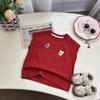 Terno de Verão para Meninos 2025 Novo Estilo Infantil Bonito e Fashion Colete Sem Mangas Verão Fino Calças Anti-Mosquito