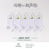Jilin Luren Produce 3256 Calcetines Cortos de Malla Ultra Delgados de Algodón Casual Moda Universitaria para Mujer de Primavera y Verano