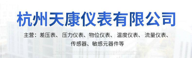 天康仪表