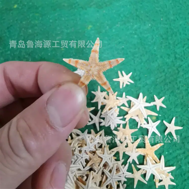 海星2