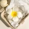 Vacaciones Románticas Elegantes en la Playa Pinza Pequeña de Frangipani Pinza de Tiburón Pinza para la Parte Trasera de la Cabeza Pinza para el Cabello Pinza Media