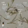 Líquido de Relleno de Aceite Esencial de Plantas de Aromaterapia de 15 ml para Difusor de Piedra de Yeso, Adornos Aromáticos, Especializado para Uso en Interiores, Fragancia de Alta Gama y Larga Duración