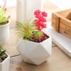 Maceta de Porcelana Blanca Carnosa Simple Creativa Blanca para Interior Planta en Maceta Diámetro Grande Maceta para Flores Carnosas