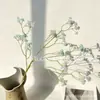 Gipsofila de Plástico Blando Flores Artificiales Decoración de Boda Hogar Ramo de Flores Falsas Arreglo Floral Fabricante Venta al por Mayor Fotografía Sueño
