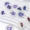 Pegatinas de Sellos de Cera Serie Flores Secas, Cinta de Doble Cara con Diseños de Gipsofila y Planta de Rosa, Etiquetas de Sello de Cera con Flores Secas