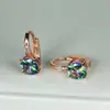 Pendientes de circonita cúbica morada de nueva ronda Cross-border Wish, modernos y versátiles, joyería al por mayor estilo europeo y americano