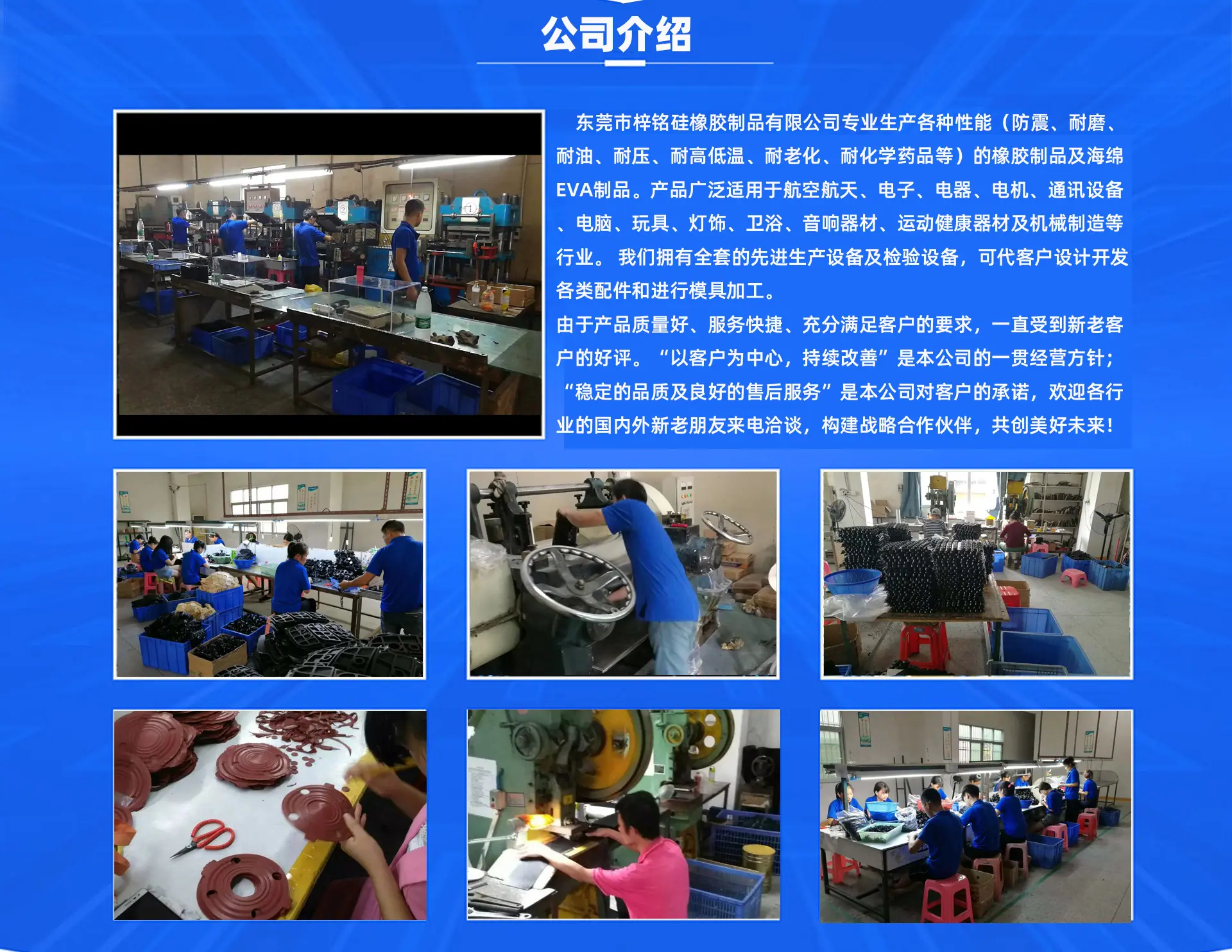 公司介绍