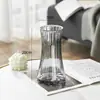 Vaso de Vidro Transparente Geleira Barriga Grande Moderno Simples Arranjo de Flores Nutrição de Água Sala de Estar Mesa de Jantar Estilo Ins Enfeites Decorativos