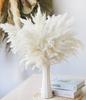 INS estilo branco grande Reed Reed manga transfronteiriça Amazon Nordic cattail bouquet DIY Yunnan flor seca atacado