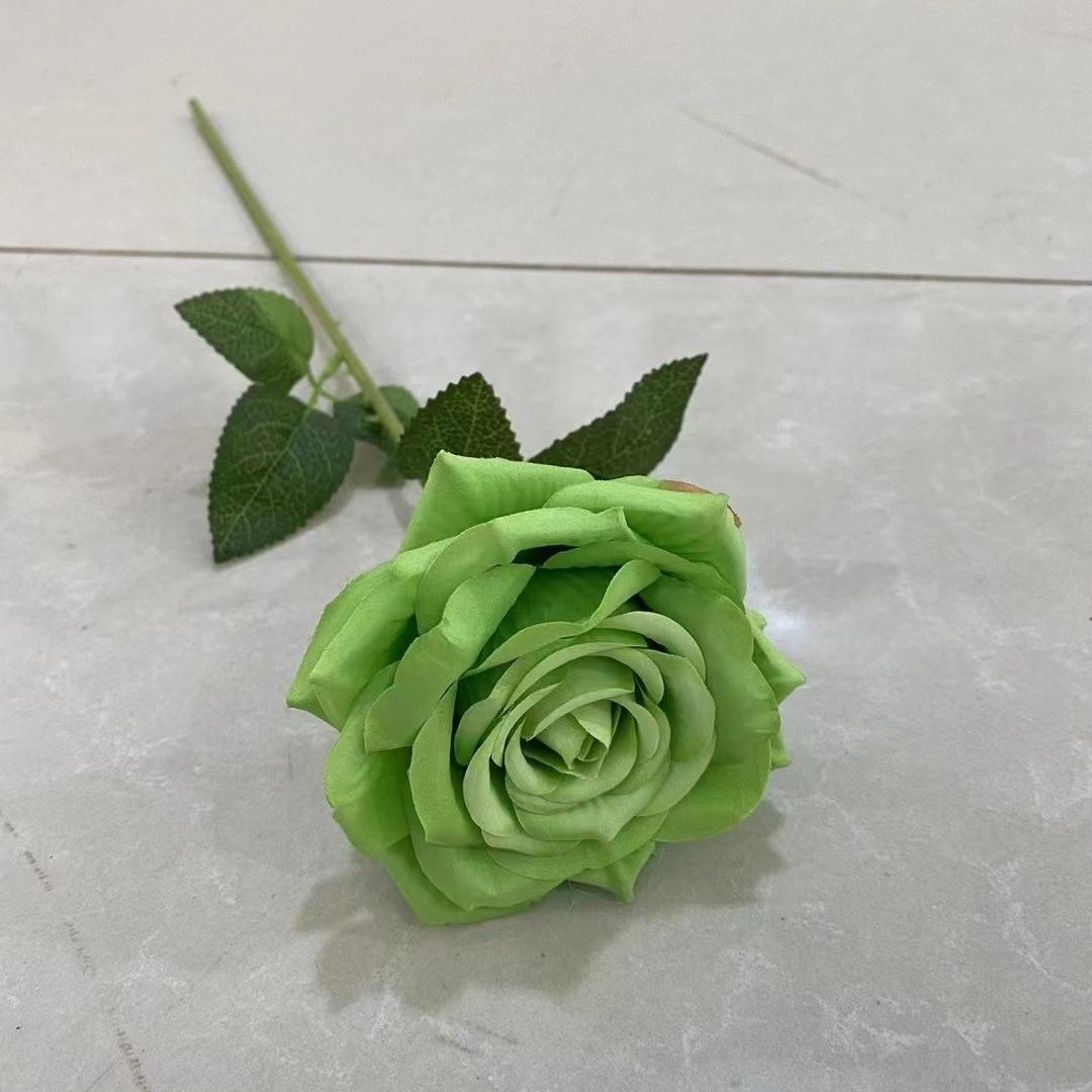 单支玫瑰绿色