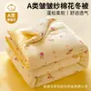 Colcha de invierno engrosada con estampado de gasa de doble capa tipo nube Clase A, colcha de algodón de Xinjiang, colcha de primavera y otoño, colcha para todas las estaciones, colcha de verano, colcha para niños