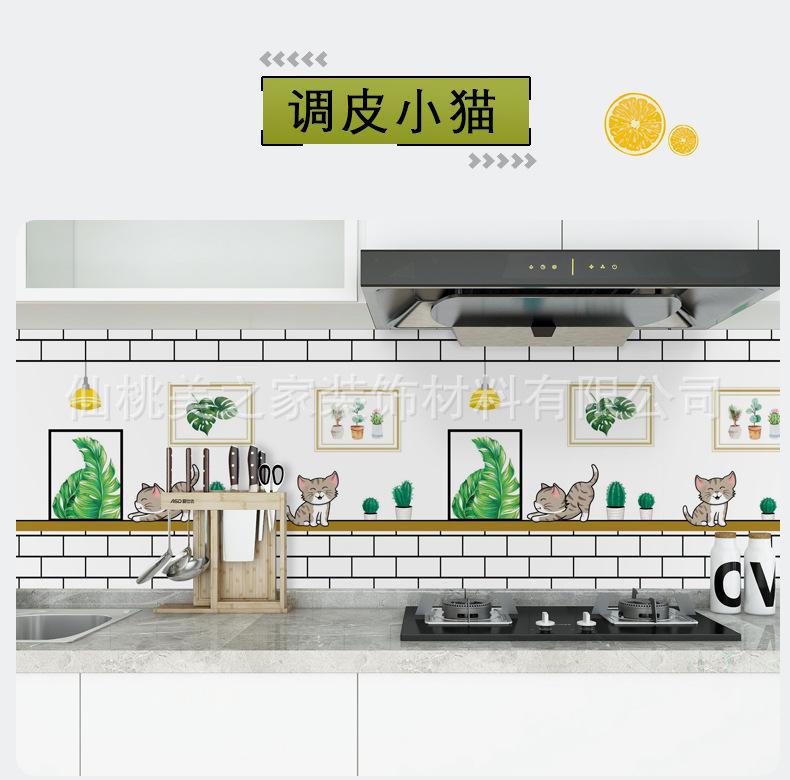 调皮小猫.jpg