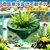 Criativo Aquário Vaso de Flor Flutuante Cesta de Plantio Hidropônico Simbiose Peixe e Planta Decoração de Aquário Plantas Aquáticas Verdes Planta em Vaso Suspensa