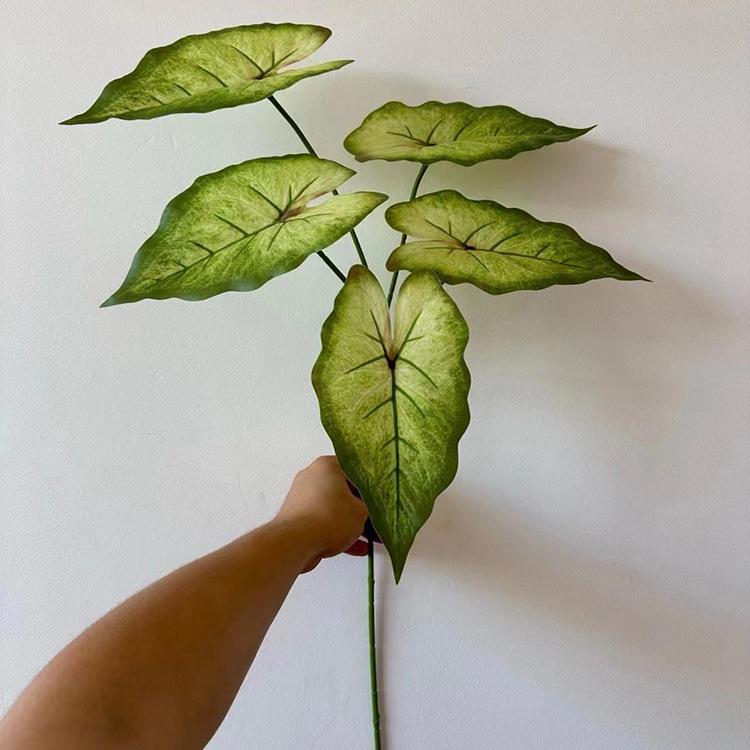 5叉3D打印芋叶-渐变绿色.jpg