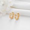 Pendiente de oreja con hebilla de oreja de personalidad transfronteriza de comercio exterior Zhongxing, pendiente de circonita microincrustada de 14k, pendientes de temperamento de lujo de alta calidad, venta al por mayor