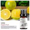 Exportación Transfronteriza Aceite Esencial Individual Fragancia Aromaterapia Masaje Aceite Esencial Sándalo Difusor Mayoreo Muestra de 10 ml