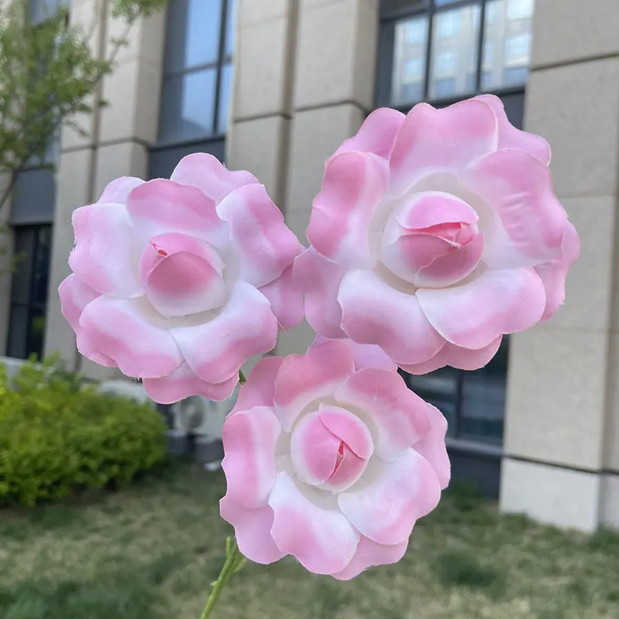 3头翻瓣仙子色玫瑰-中粉.JPG