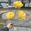 Rosas artificiales moradas 3 rosas comercio exterior nuevo 3 cabezas laifei rosa ángel cian nieve decoración de boda flor falsa al por mayor
