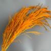 Flor sonhadora flor macia material de arte grama de cabelo longo decoração de casamento flor seca grama de dragão flor eterna multicolorida atacado