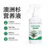 Solución Nutritiva de Pino Australiano para Plantas Verdes de Interior en Maceta, Enraizamiento, Fortalecimiento de Hojas, Promoción del Crecimiento, Mejora del Color, Aumento del Verde, Cuidado de Plantas en Maceta