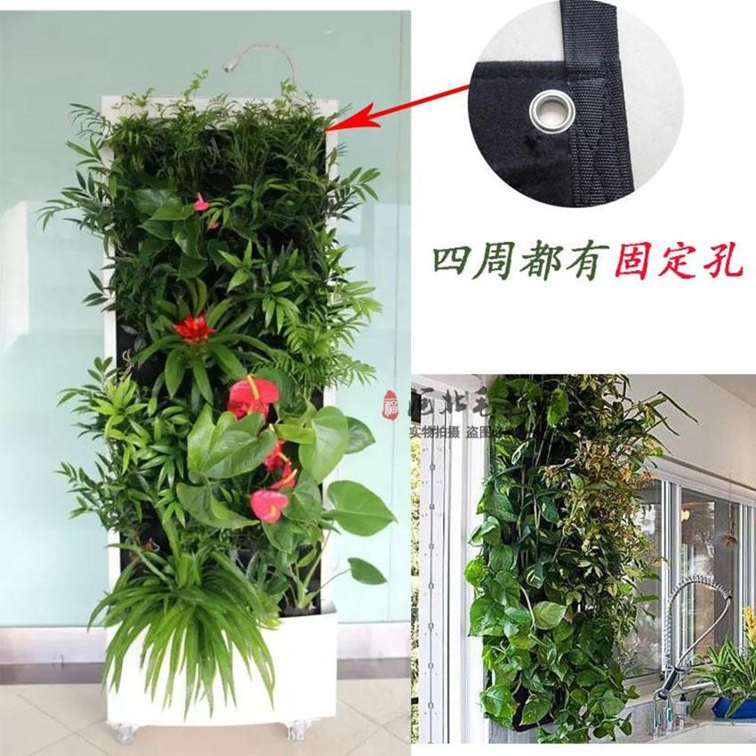 TB2kcgrf_qWBKNjSZFxXXcpLpXa_!!