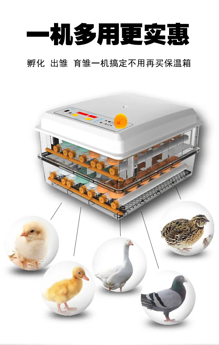 详情7