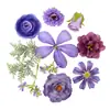 Kit de materiales de flores artificiales de seda, accesorio decorativo DIY popular transfronterizo para gorras de graduación y sombreros de sol