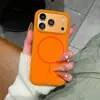 Capa de Celular Magnética de Silicone com Furos Grandes Estilo Verão para Apple 17Promax 16 Tendência 15/14
