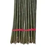 Cañas de bambú para huertos, espalderas para pepinos y frijoles, cercas de bambú, cañas de bambú pequeñas, cañas de bambú delgadas, plantas trepadoras, patios.