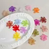 Acessório de Cabelo Flor de Íris Grande Acrílico Fosco com Furo Central Estilo Antigo Material para DIY/Corrente de Celular Pingente Chaveiro