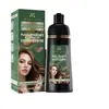 Tingimento de Cabelo à Base de Plantas Corante Bolha Full English Transfronteiriço Shampoo Tingidor de Cabelo Suave Não Irritante Frasco Atacado