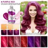 Champú de color fijo inglés transfronterizo 300ML champú protector de color para después del tinte gris rosa